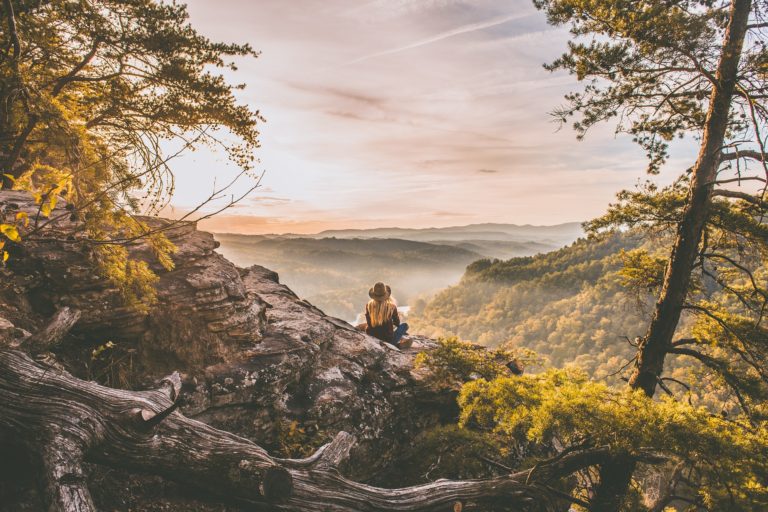 Mindfulness in Nature